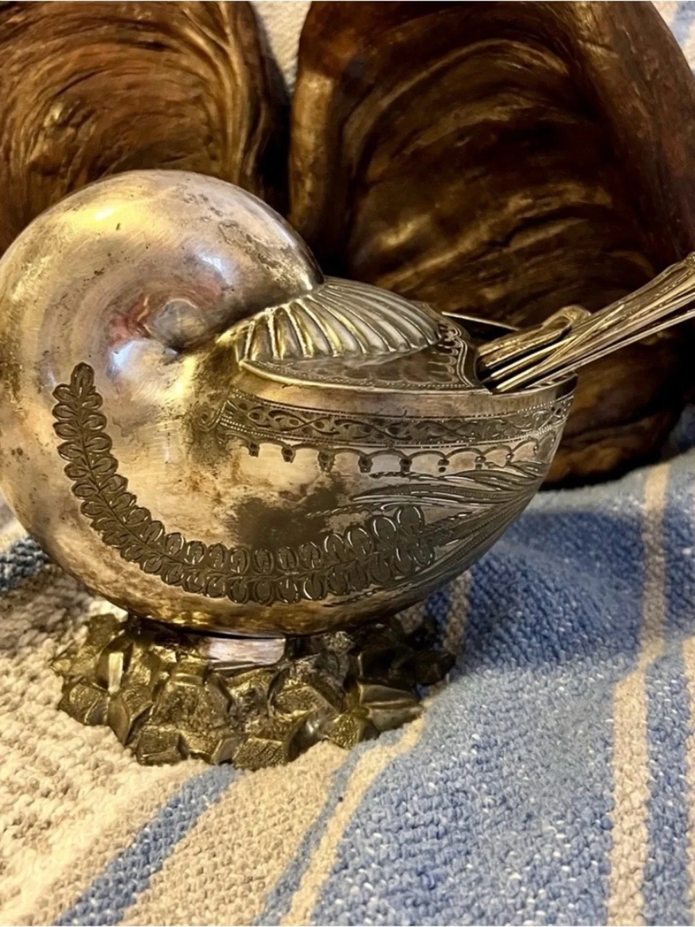 Antique Nautilus Spoon Warmer